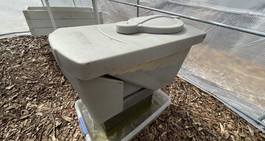 Black soldier fly larvae in a rearing unit converting organic waste into animal feed