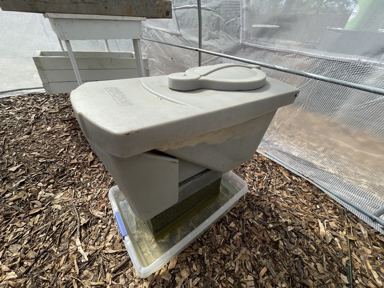 Black soldier fly larvae in a rearing unit converting organic waste into animal feed