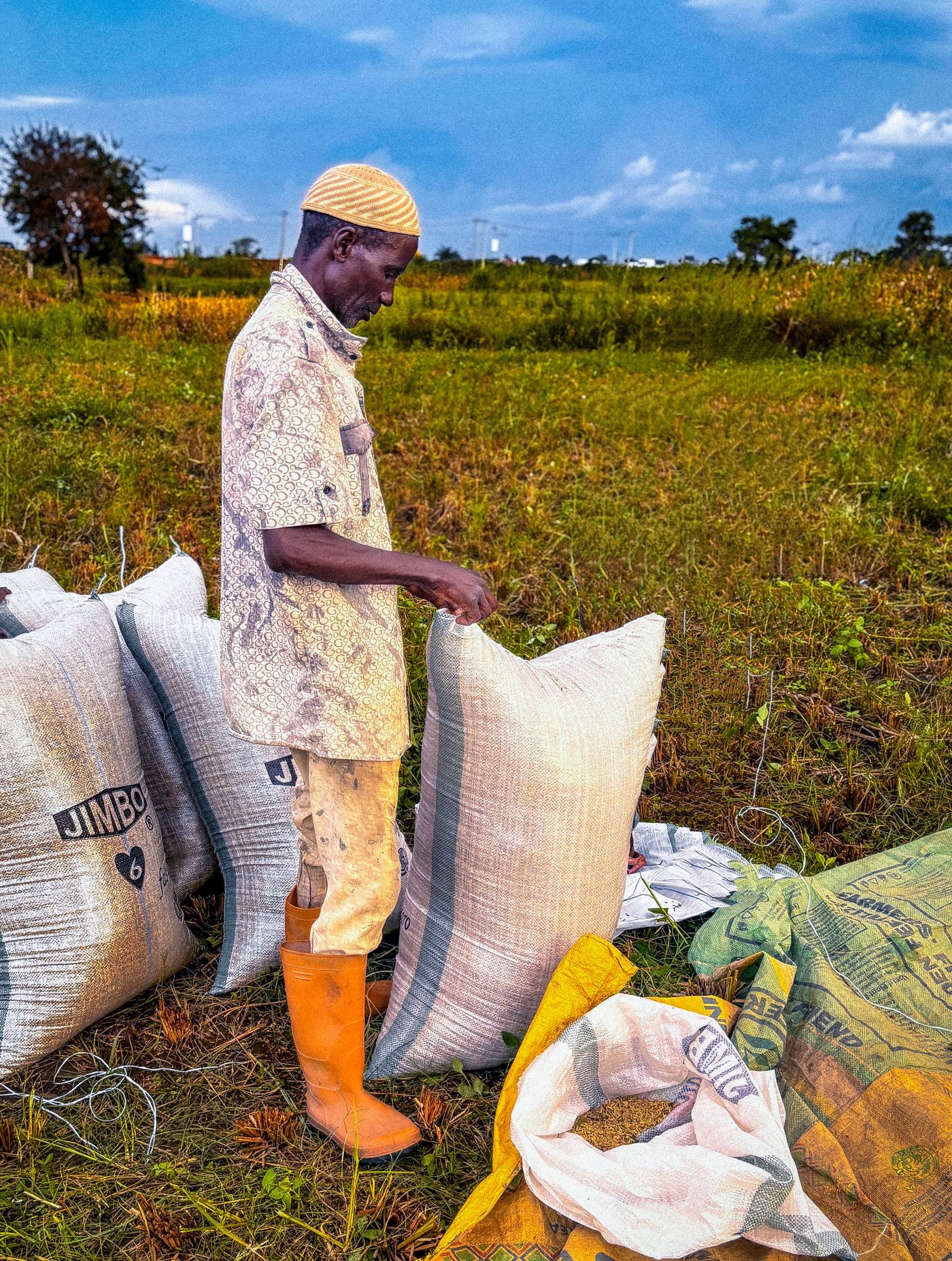 Farmer weighing sacks of cereal harvest