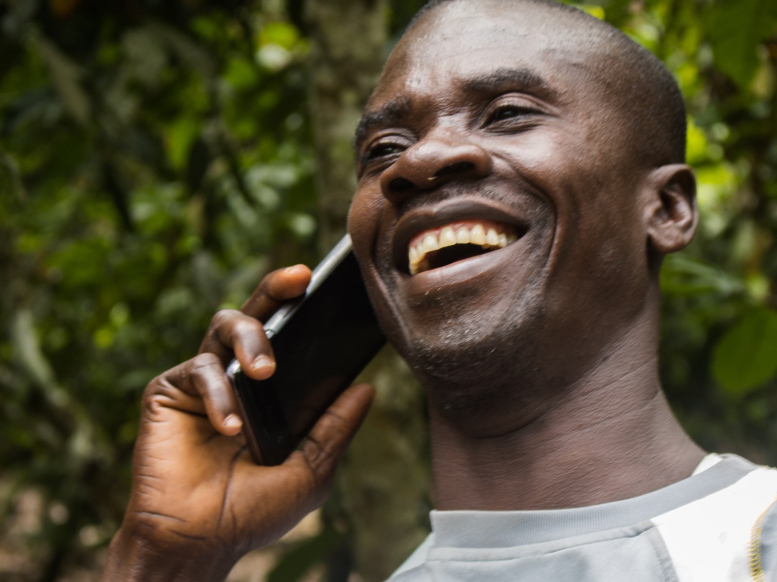 Farmer using a mobile phone among cocoa trees