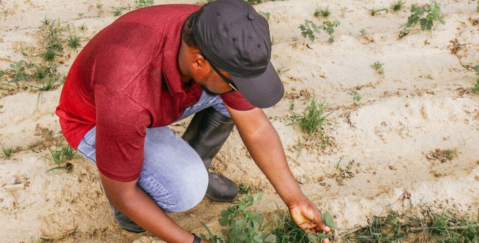 Supporting smallholder farmers with training, agronomic advice, Farmer Field Schools, and Good Agricultural Practice to improve productivity and build resilience.