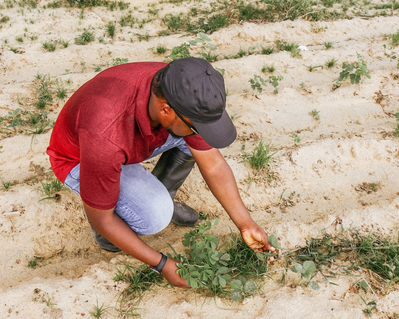 Supporting smallholder farmers with training, agronomic advice, Farmer Field Schools, and Good Agricultural Practice to improve productivity and build resilience.