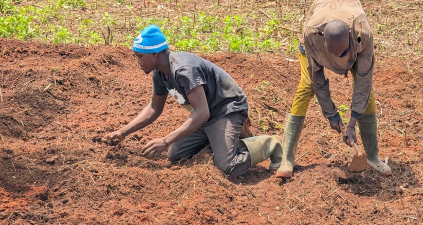 Forming and strengthening community structures, with a consistent focus on including women, youth, and marginalised groups as active participants, not passive beneficiaries.