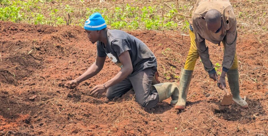 Forming and strengthening community structures, with a consistent focus on including women, youth, and marginalised groups as active participants, not passive beneficiaries.