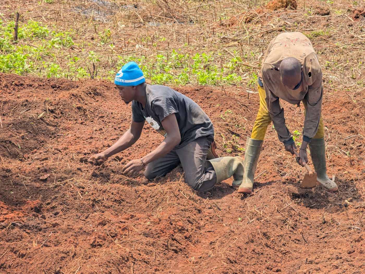 Forming and strengthening community structures, with a consistent focus on including women, youth, and marginalised groups as active participants, not passive beneficiaries.
