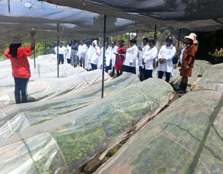 Farmers and agronomists touring greenhouse seedling tunnels during a field day