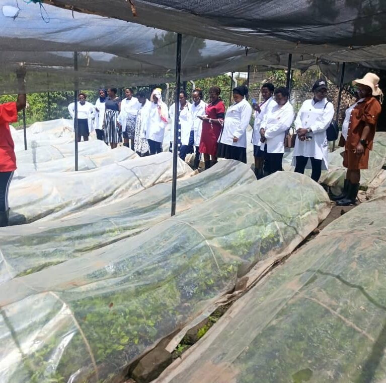 Farmers and agronomists touring greenhouse seedling tunnels during a field day