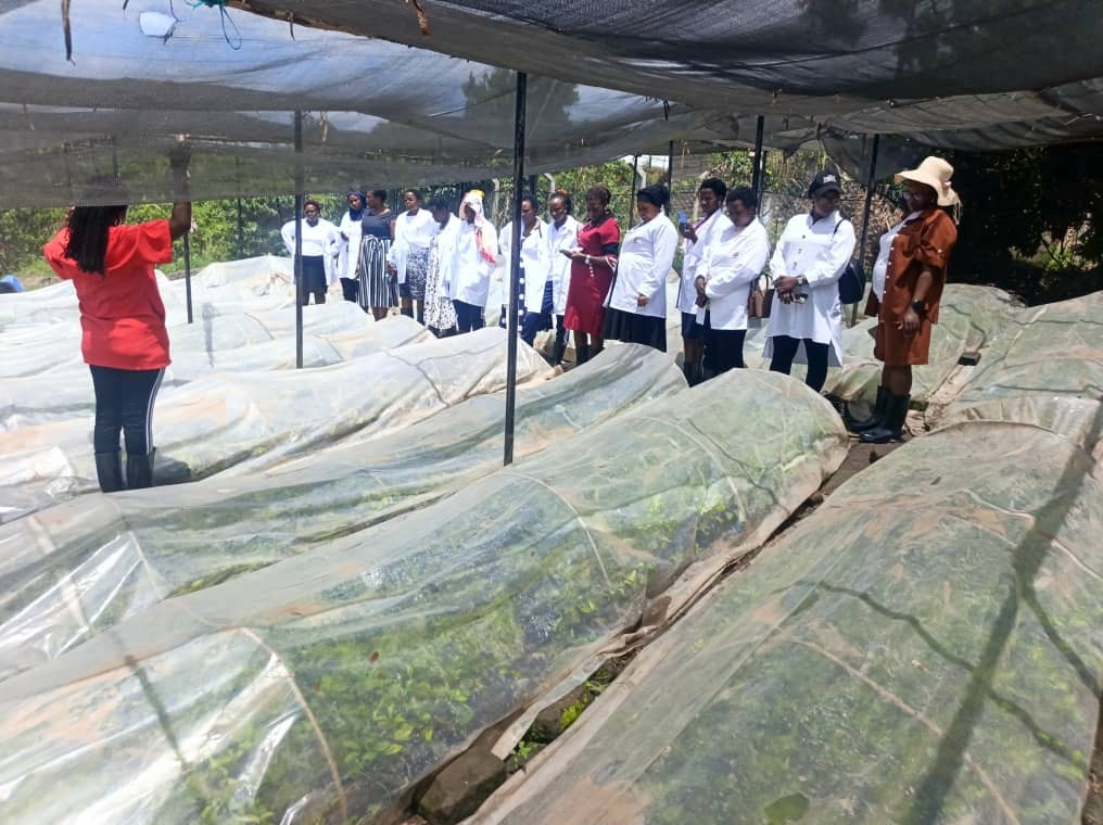 Farmers and agronomists touring greenhouse seedling tunnels during a field day