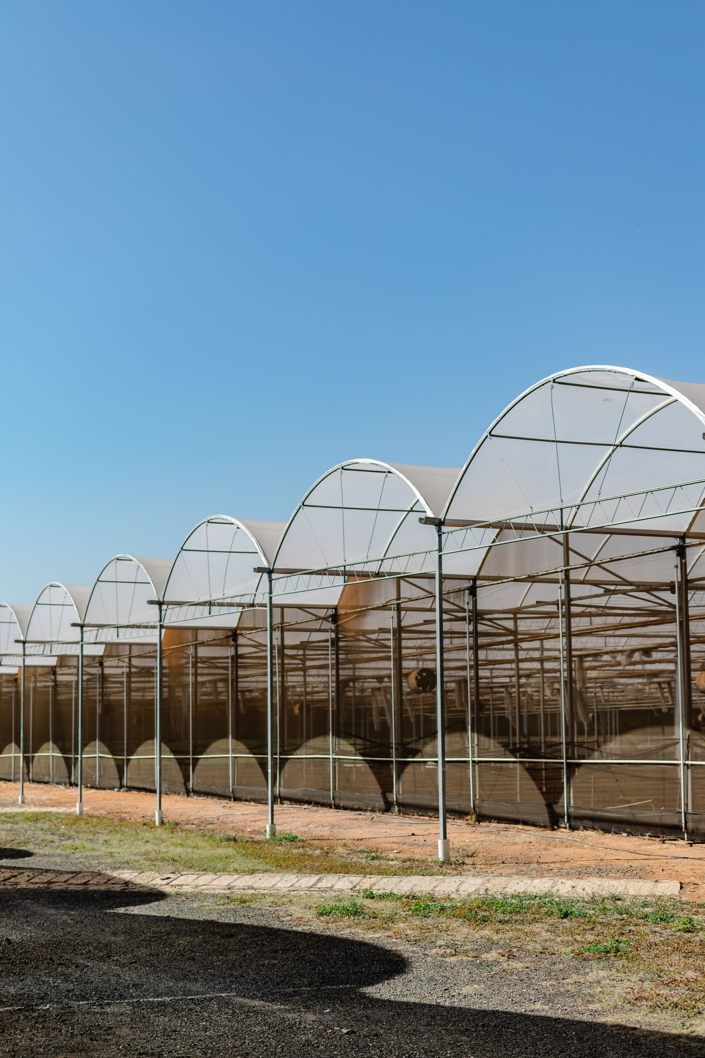 A row of greenhouses on a farm