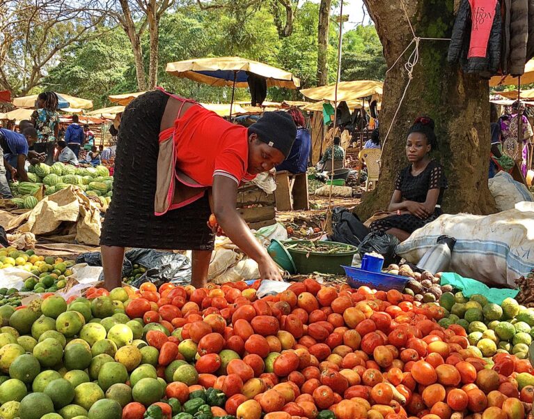Woman sorting tomatoes at a busy vegetable market in Uganda