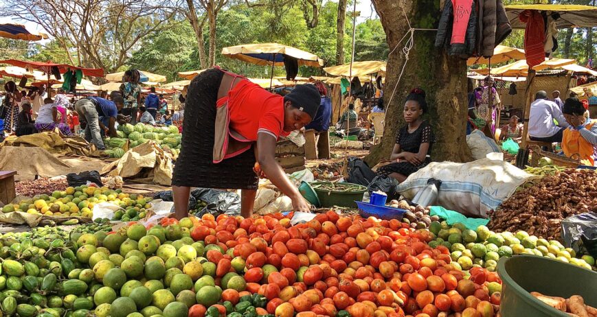 Woman sorting tomatoes at a busy vegetable market in Uganda