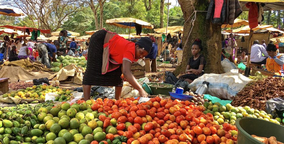 Woman sorting tomatoes at a busy vegetable market in Uganda