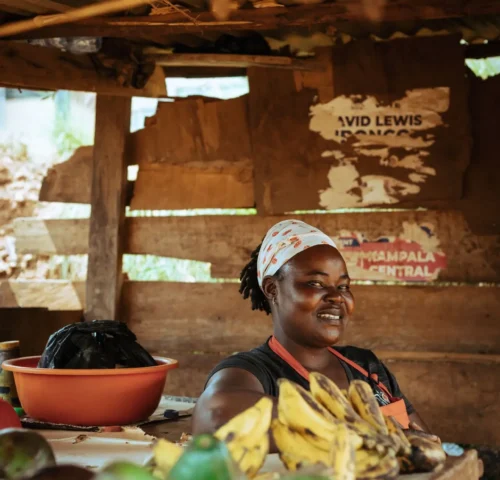 The bank asked for your land title. You do not have one. They said no. But there are seven other doors to farming credit in Uganda, and most farmers have never been told about them.