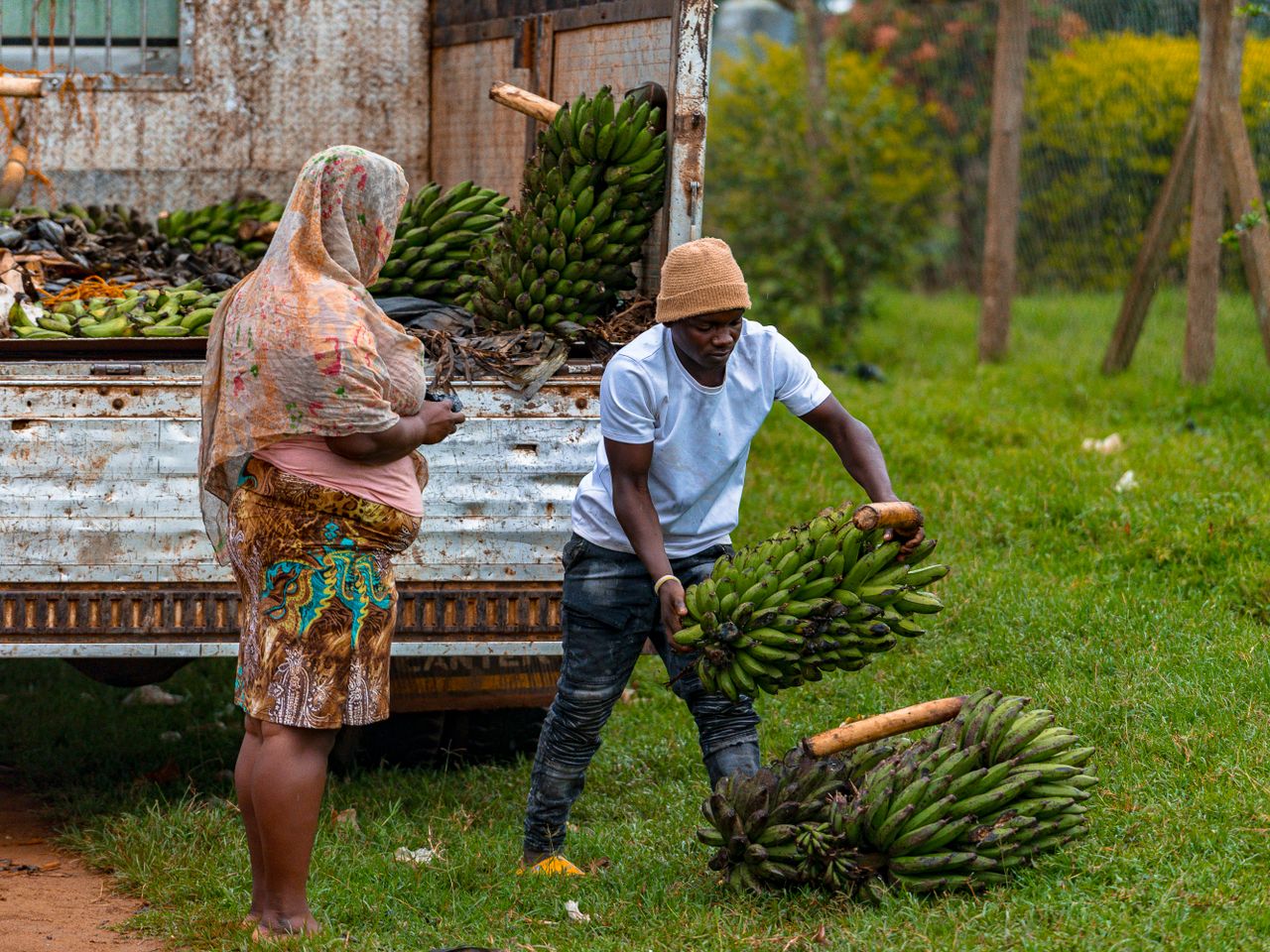 Supporting agricultural enterprises, individual farmers, cooperatives, and SMEs, to develop viable business models, access finance, and grow commercially.