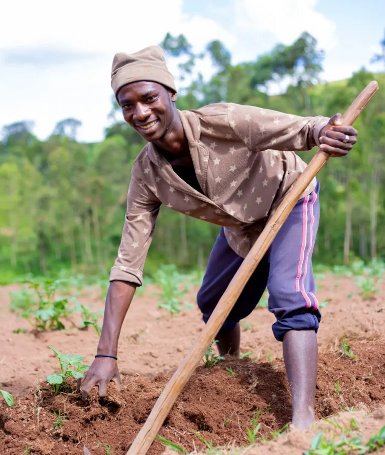 Organic farms avoid toxic inputs, improve soil health, grow clean, sustainable food that supports nature.
