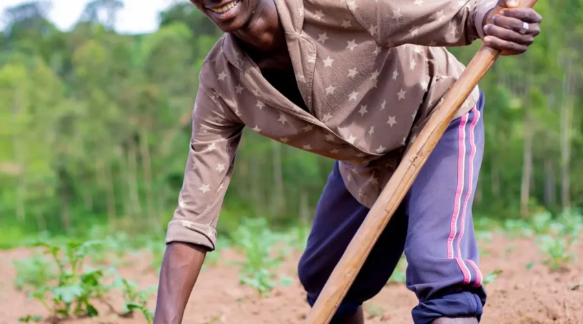 You are farming the same land your parents farmed. But your harvests are smaller every year. The land is not lazy. It is exhausted. Here is how to bring it back.