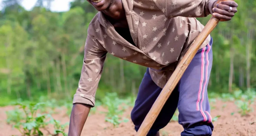 Organic farms avoid toxic inputs, improve soil health, grow clean, sustainable food that supports nature.