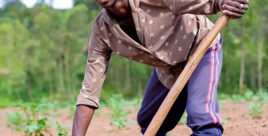 Organic farms avoid toxic inputs, improve soil health, grow clean, sustainable food that supports nature.