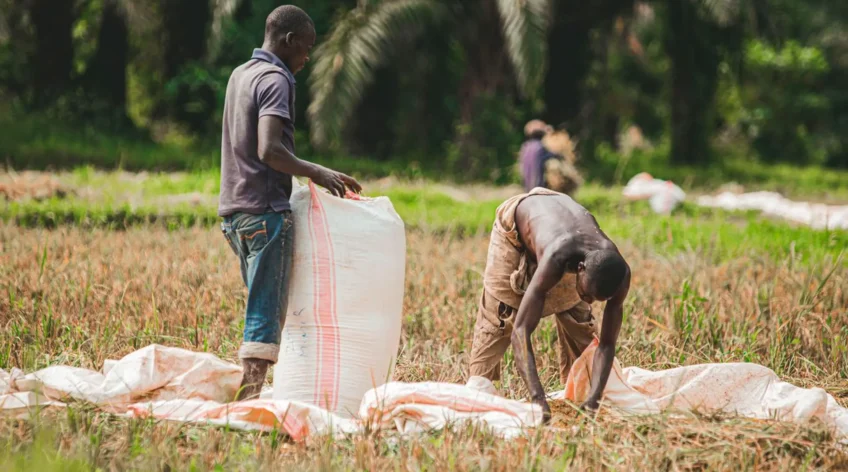 The bank asked for your land title. You do not have one. They said no. But there are seven other doors to farming credit in Uganda, and most farmers have never been told about them.