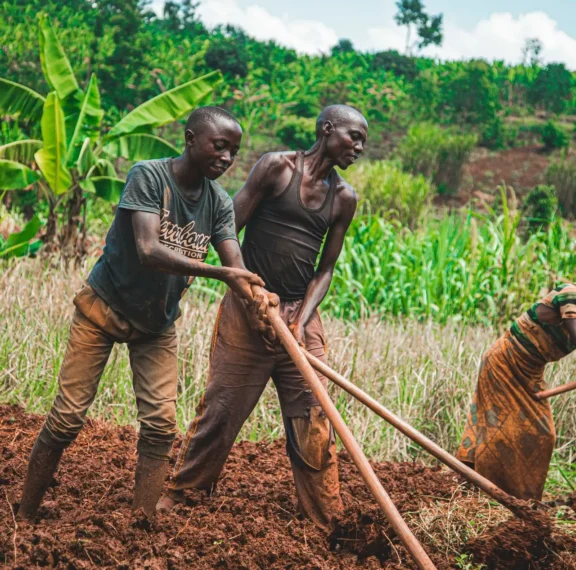 You are farming the same land your parents farmed. But your harvests are smaller every year. The land is not lazy. It is exhausted. Here is how to bring it back.