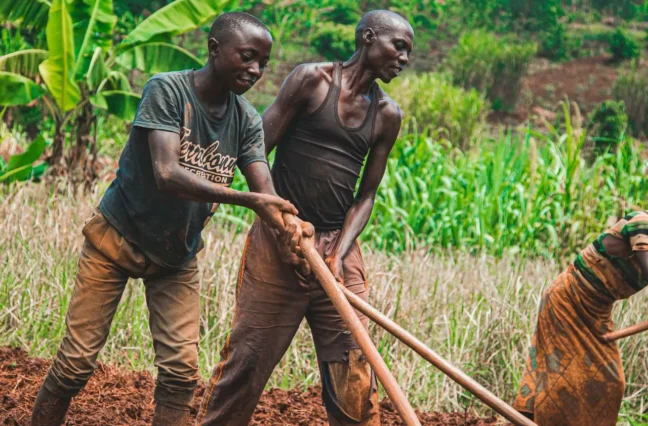 You are farming the same land your parents farmed. But your harvests are smaller every year. The land is not lazy. It is exhausted. Here is how to bring it back.