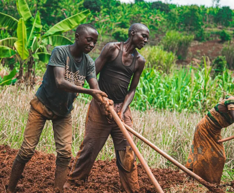 You are farming the same land your parents farmed. But your harvests are smaller every year. The land is not lazy. It is exhausted. Here is how to bring it back.