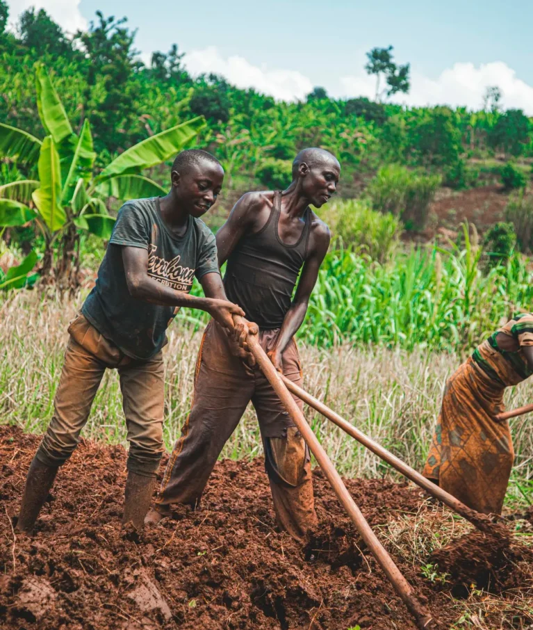 Organic farms avoid toxic inputs, improve soil health, grow clean, sustainable food that supports nature.