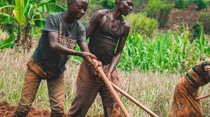 You are farming the same land your parents farmed. But your harvests are smaller every year. The land is not lazy. It is exhausted. Here is how to bring it back.