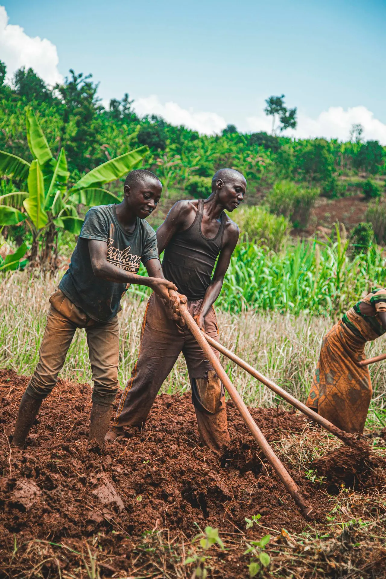 Organic farms avoid toxic inputs, improve soil health, grow clean, sustainable food that supports nature.