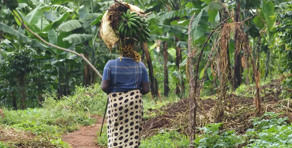 Organic farms avoid toxic inputs, improve soil health, grow clean, sustainable food that supports nature.