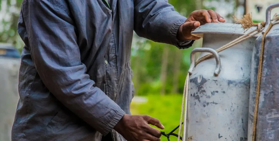 Organic farms avoid toxic inputs, improve soil health, grow clean, sustainable food that supports nature.