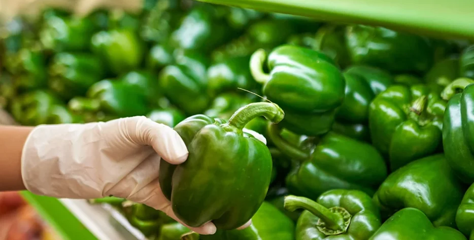 End-to-end value chain work across honey, cereals, horticulture, tree planting, and climate-smart agriculture, from production to market-ready quality.