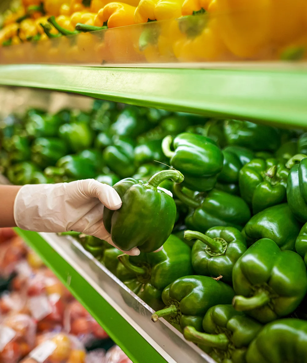 End-to-end value chain work across honey, cereals, horticulture, tree planting, and climate-smart agriculture, from production to market-ready quality.