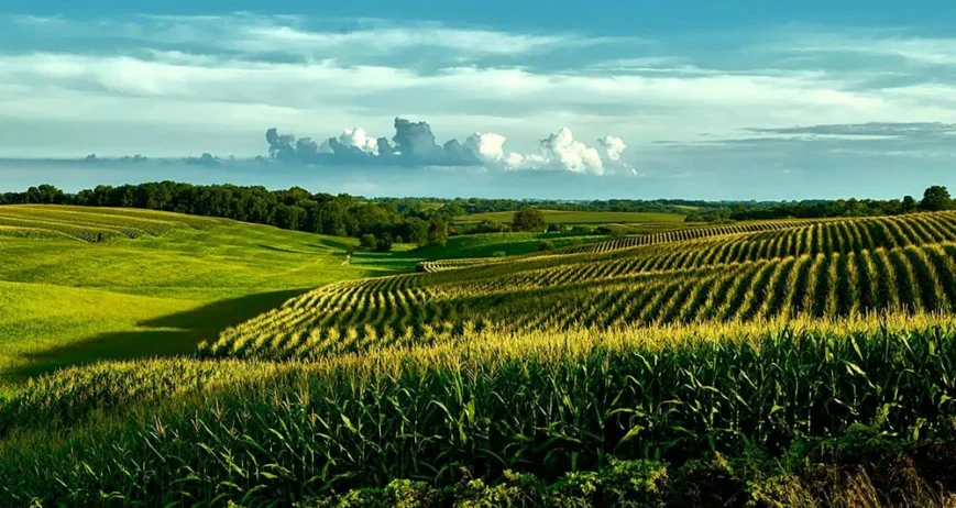 Farmer registration, GPS mapping, mobile data collection, digital traceability, and market information systems that put data at the centre of decision making.