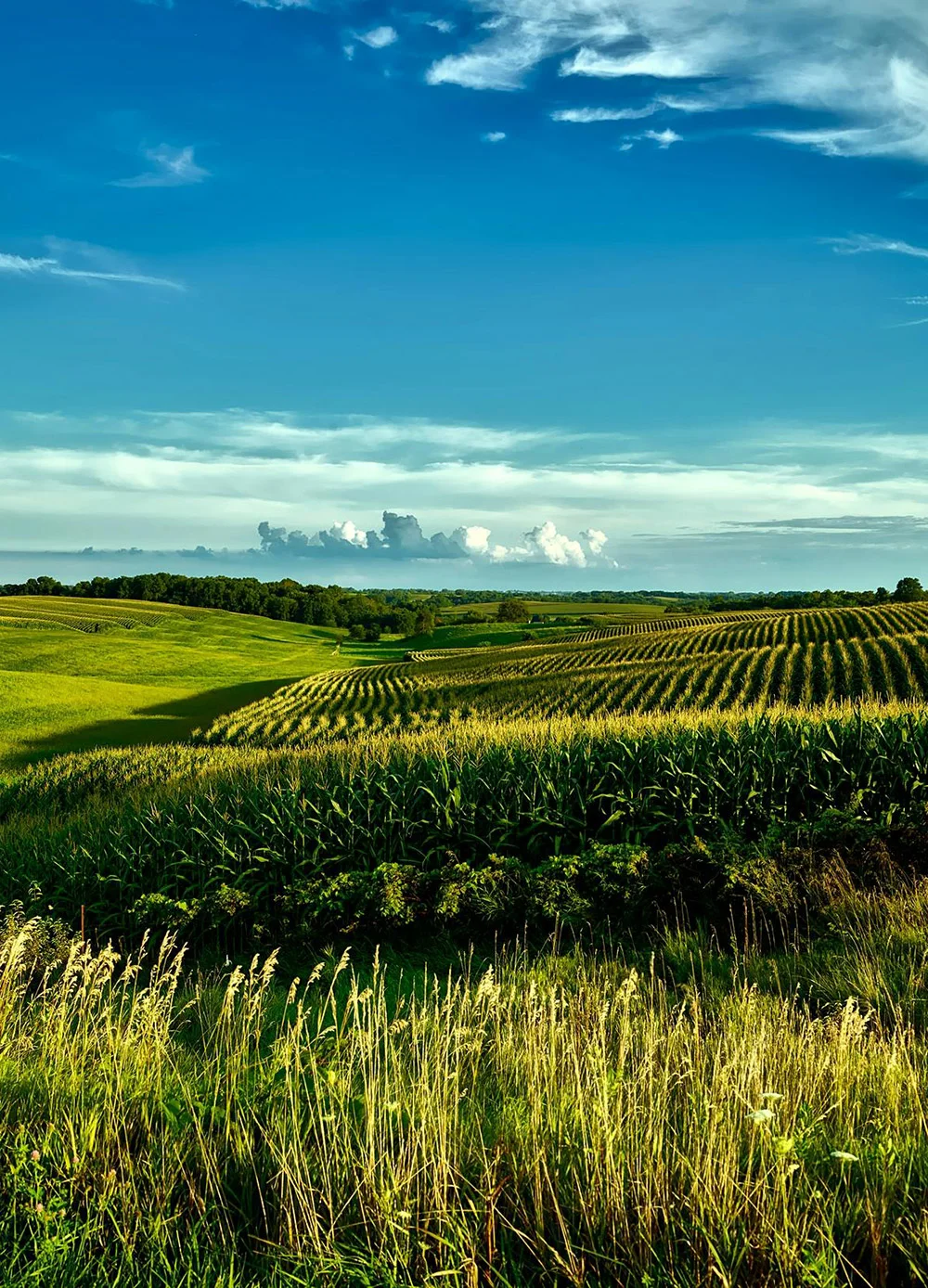 Farmer registration, GPS mapping, mobile data collection, digital traceability, and market information systems that put data at the centre of decision making.
