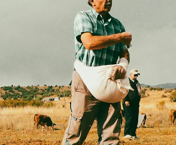 Piloting Black Soldier Fly (BSF) technology and circular economy innovations that convert organic waste into high-protein livestock feed and organic fertiliser.