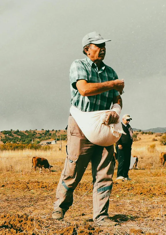 Piloting Black Soldier Fly (BSF) technology and circular economy innovations that convert organic waste into high-protein livestock feed and organic fertiliser.